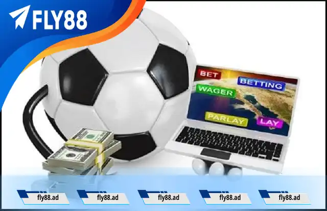 Cá độ bóng đá là gì? Cá độ bóng đá là gì?