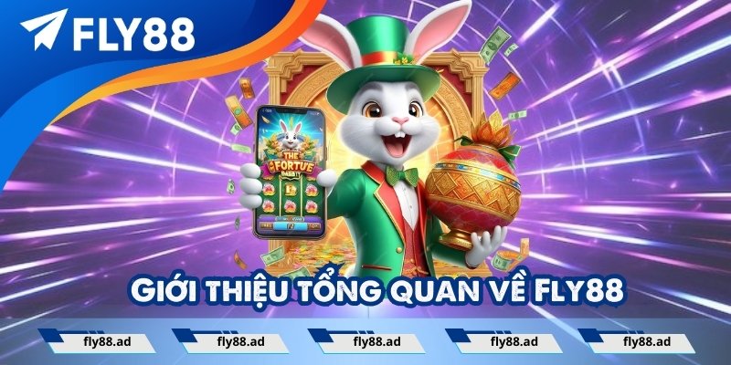 Giới Thiệu Nhà Cái Fly88 – Đế Chế Giải Trí Đẳng Cấp Số 1 VN